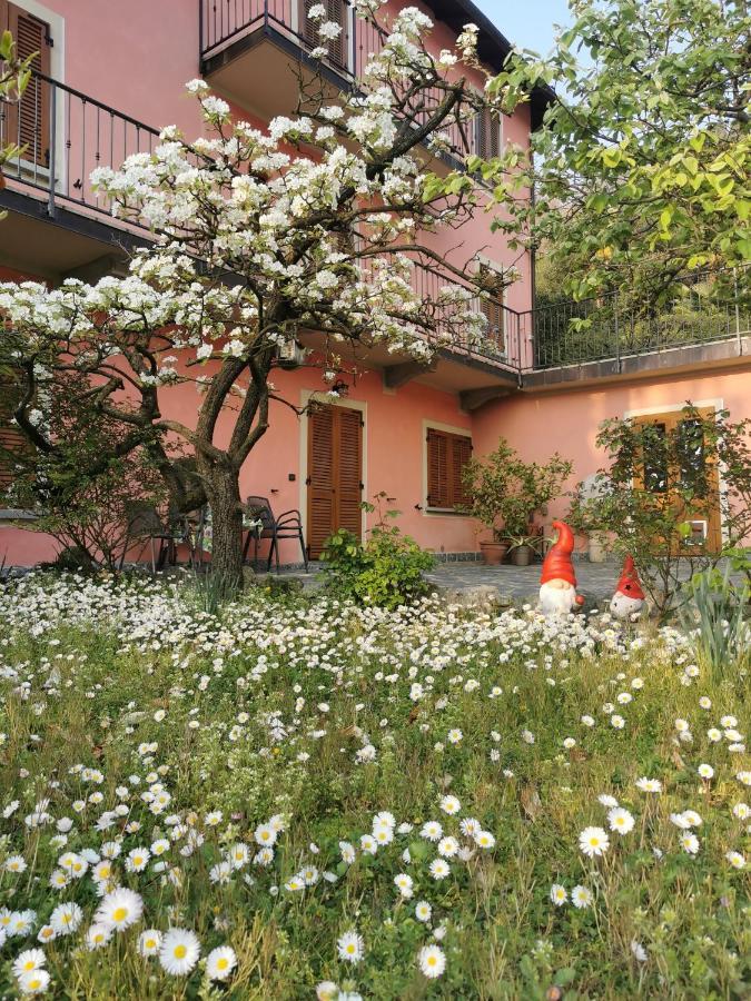 Bolzano NovareseLa Baia D'Acquadolce别墅 外观 照片
